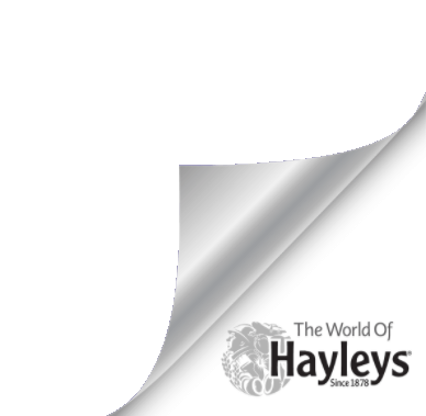Hayleys-Logo-Footer-corner.png